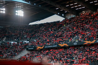 开云网址-球场环境改善：未来足球场的绿色设计，足球场地设施建设规划