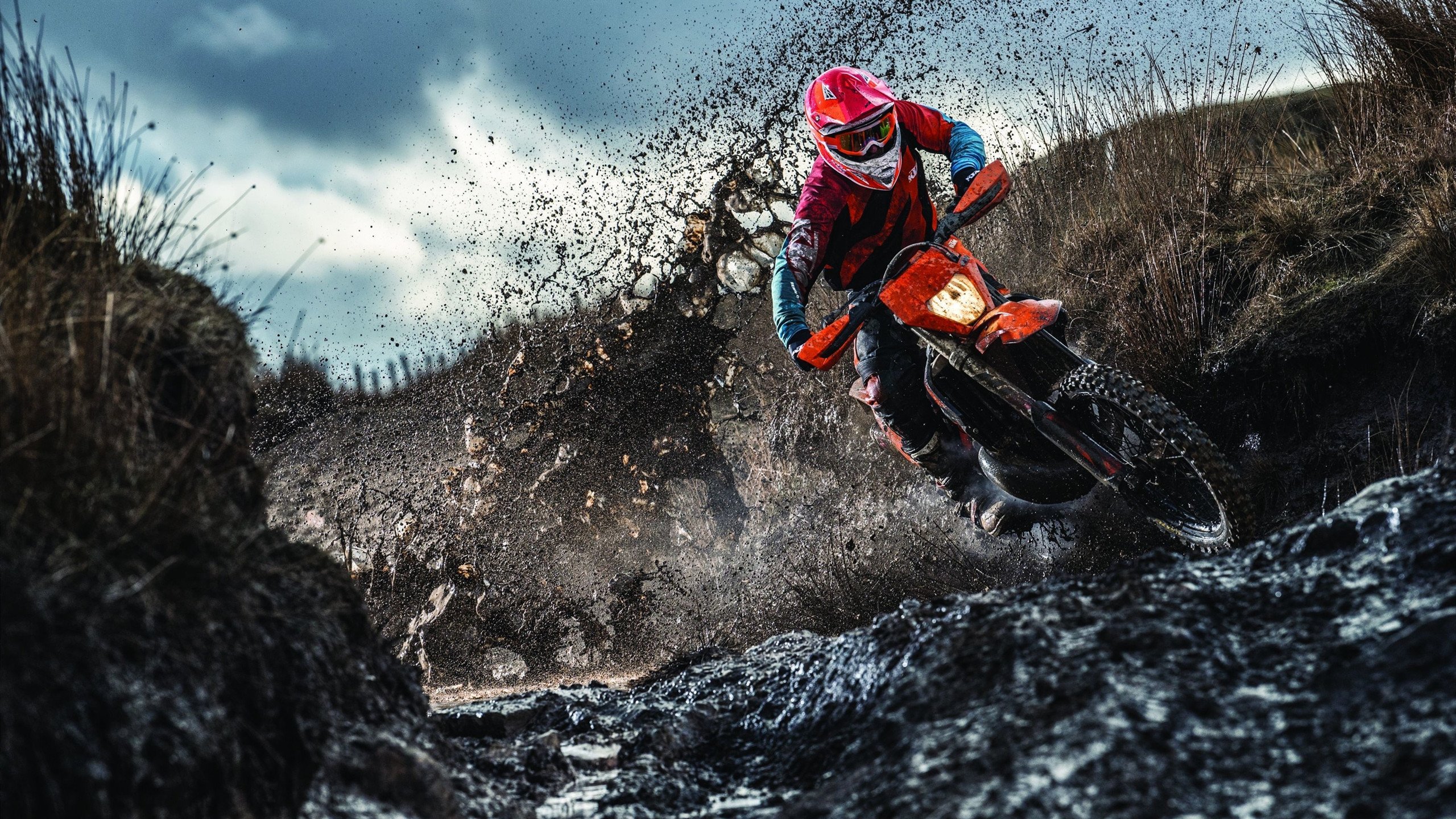 赛事转播平台引入多语种解说扩大国际观众群,赛事转播公司